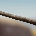 Modern wood fossil tree 3d model