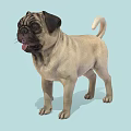 Pug Game Movie Character 3D Model Standing Pose In Light Blue Background