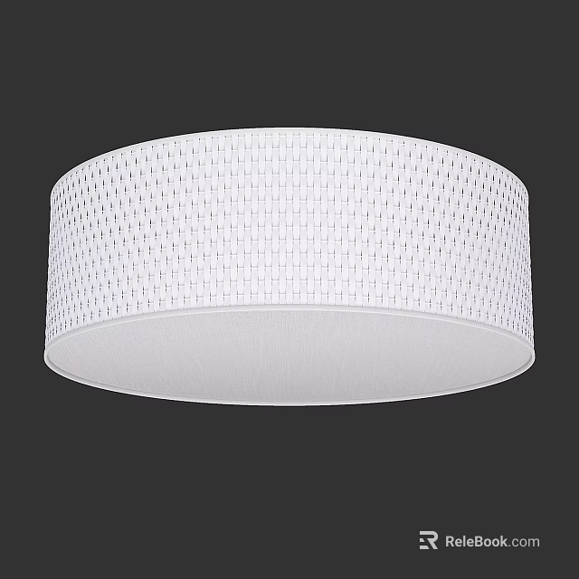 Modern White Round Flush Mount Ceiling Light With Grid Pattern Shade 3d model 