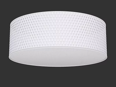 Modern White Round Flush Mount Ceiling Light With Grid Pattern Shade 3d model