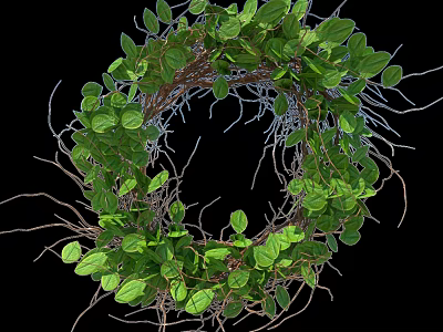 Decorative Natural Green Leaf Twig Circular Wall Decor For Home Interior 3d model