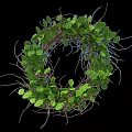 Decorative Natural Green Leaf Twig Circular Wall Decor For Home Interior