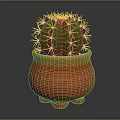 Green Cactus Plant With Yellow Spines In Red Spotted Three Legged Pot