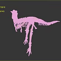 Detailed Prehistoric Dinosaur Skeleton Standing With Lifelike Stance In Scientific Museum Exhibit