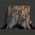 Natural Wooden Tree Stump Stool With Rough Texture And Decorative Base
