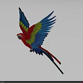 Vibrant Red Yellow Blue Macaw Parrot Flying With Spread Wings On White Background