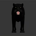 Realistic Black Panther With Open Mouth Standing On Gray Surface