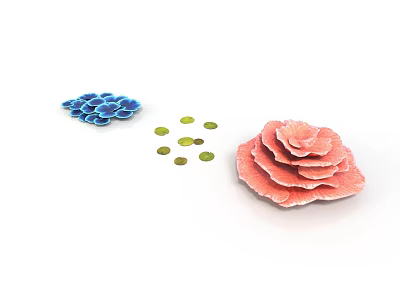Colorful Plant Structures Featuring Blue And Pink Petal Like Forms With Small Green Circular Leaves 3d model