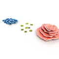 Colorful Plant Structures Featuring Blue And Pink Petal Like Forms With Small Green Circular Leaves