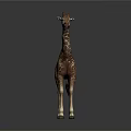 Brown And White Spotted Giraffe With Long Neck Standing Against Dark Background