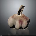 Fresh Whole Garlic Bulb With Purple Stripes On Black Background Close Up View