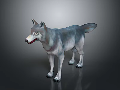 Gray and White Wolf in Standing Pose on Reflective Floor with Gray Gradient Background 3d model