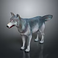Gray and White Wolf in Standing Pose on Reflective Floor with Gray Gradient Background 3d model