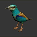 Modern Birds Birds 3d model