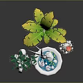 Various Potted Plants With Green Leaves Fruit Banana Leaves And Cactus In White Pots