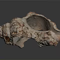 Shell Shaped Decorative Ornament Set With Red And White Textured Surface And Hollow Design