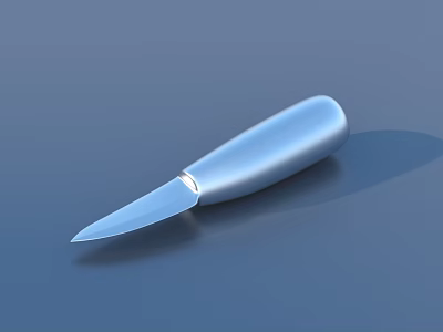 Silver Kitchen Knife With Smooth Handle And Sharp Blade On Blue Surface 3d model