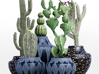 Varied Cactus Potted Plants In Blue Textured And Gold Speckled Vases For Home Decoration 3d model