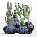 Varied Cactus Potted Plants In Blue Textured And Gold Speckled Vases For Home Decoration