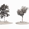 The Modern Tree 3d model