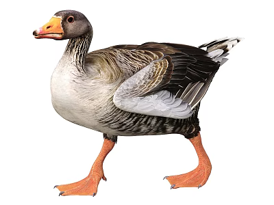 Goose With Orange Beak And Feet Gray Black Feathers Standing Pose 3d model