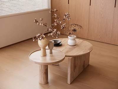 Modern Wooden Coffee Table Set With Decorative Vases Flowers And Small Plate Near Wooden Cabinets 3d model