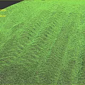 Muddy Ground Surface Showing Deep Tire Tracks And Textured Soil Patterns 3d model