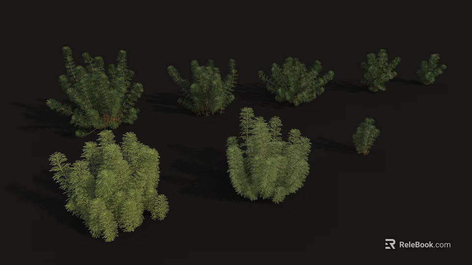Different Types Of Green Plants Arranged In Various Sizes On Black Background 3d model 