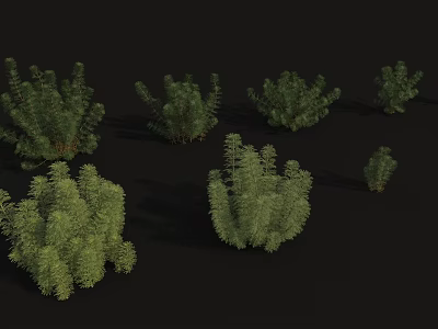 Different Types Of Green Plants Arranged In Various Sizes On Black Background 3d model