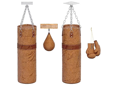 Heavy Duty Boxing Training Equipment Including Punching Bags Speed Bag And Gloves 3d model