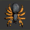 Detailed Vibrant Spider With Orange Black Striped Legs And Blue Black Body