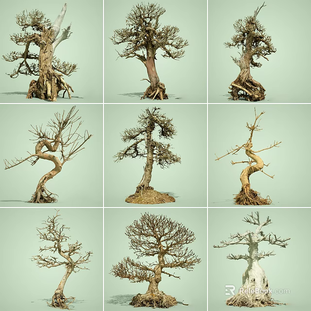 Various Shaped Unique Arbor Trees With Twisted Branches And Exposed Roots 3d model 