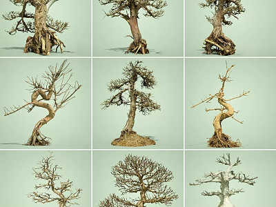 Various Shaped Unique Arbor Trees With Twisted Branches And Exposed Roots 3d model