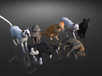 Multiple Colorful Cats In Various Postures Standing And Lying On Dark Background 3d model