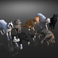 Multiple Colorful Cats In Various Postures Standing And Lying On Dark Background