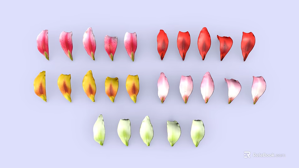 Fresh Plant Flower Petals in Multiple Colors Neatly Arranged on Light Surface 3d model 