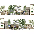 Various Bonsai and Potted Plants in Decorative Pots on Wooden Shelves Indoor