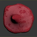 Vibrant Red Pink Mushroom with Broad Cap and Brown Stem Against Dark Background