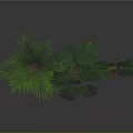 Indoor Tropical Plants with Green Patterned and Gray Pots on Dark Reflective Surface