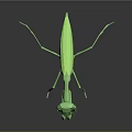 Modern Mantis Cartoon Mantis Animation Mantis Knife 3d model
