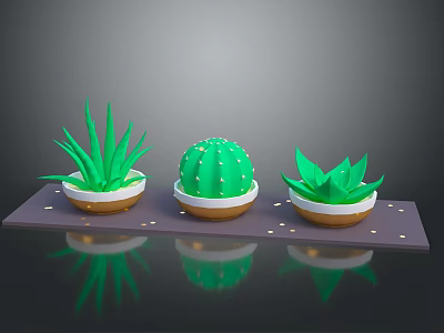 Potted Cactus And Aloe Vera Plants Arranged On Dark Tray With Small Dots 3d model