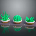 Potted Cactus And Aloe Vera Plants Arranged On Dark Tray With Small Dots