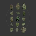 Green Plants Growing On Various Shaped Stones With Diverse Sizes And Textures