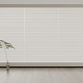 White Slatted Window Blinds in Modern Interior with Wooden Floor and Green Plant Vase