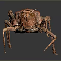 Red Grasshopper With Detailed Texture And Long Hind Legs On Gray Background
