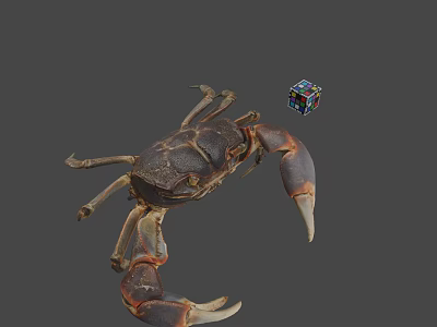 Realistic Crab Figure With Colorful Rubik's Cube On Gray Background 3d model
