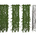 Lush Hanging Basket Plants with Dense Green Vines and Bare Vine Frames 3d model