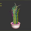 Lucky Bamboo Plant with Green Stems Fresh Leaves in White Decorative Pot against Gray Background