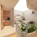 Yoga Studio Interior With Hammock Seats Mirrors Green Plants And Wooden Floor