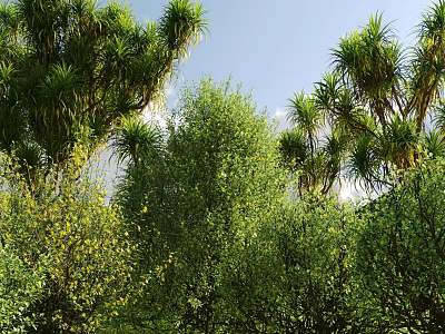 Lush Green Shrubs in Natural Garden Landscape With Various Foliage Plants 3d model